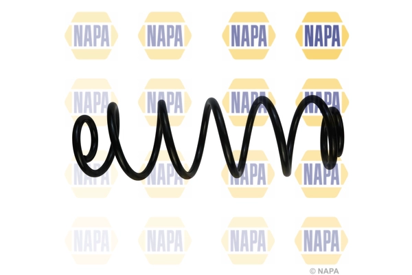 Suspension Spring (NCS1873)