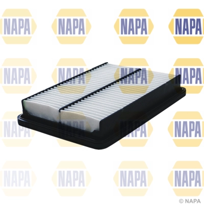 Air Filter (NFA1224)