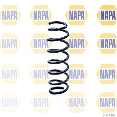 Suspension Spring (NCS1247)
