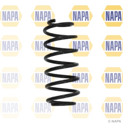 Suspension Spring (NCS1639)