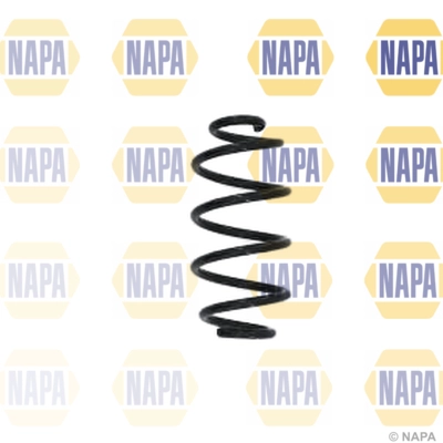 Suspension Spring (NCS1593)