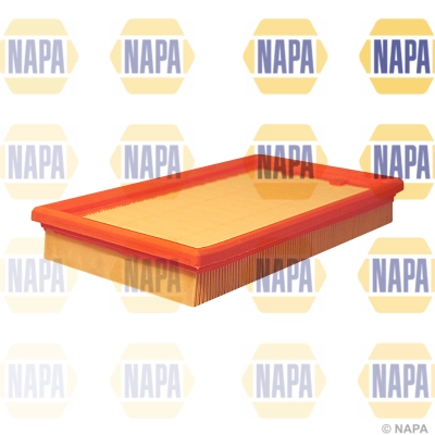 Air Filter (NFA1149)