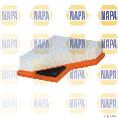 Air Filter (NFA1198)