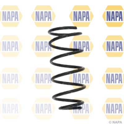 Suspension Spring (NCS1592)