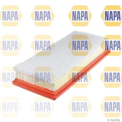 Air Filter (NFA1200)