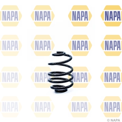 Suspension Spring (NCS1271)