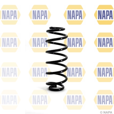 Suspension Spring (NCS1135)