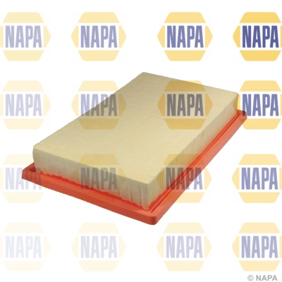 Air Filter (NFA1270)