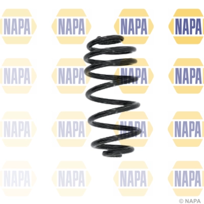 Suspension Spring (NCS1588)