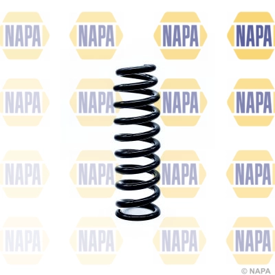 Suspension Spring (NCS1181)