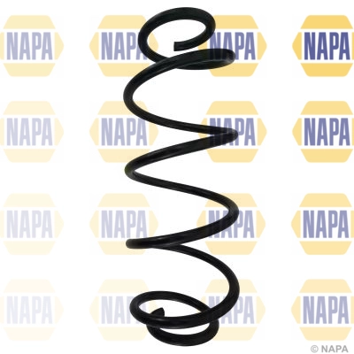 Suspension Spring (NCS1643)