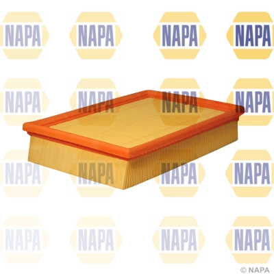 Air Filter (NFA1059)