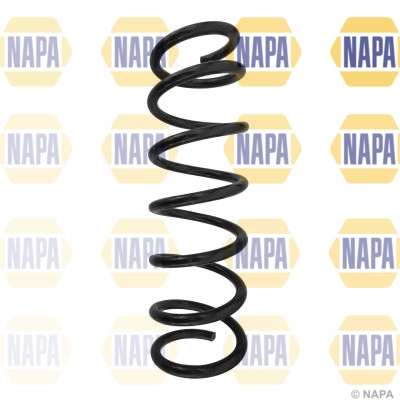 Suspension Spring (NCS1589)
