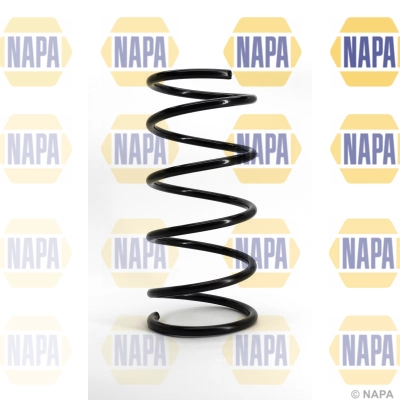 Suspension Spring (NCS1005)