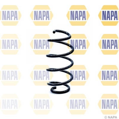 Suspension Spring (NCS1175)
