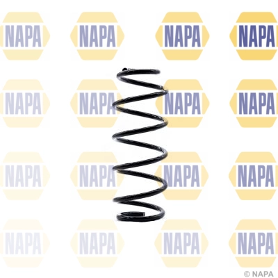 Suspension Spring (NCS1362)