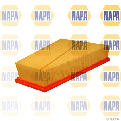 Air Filter (NFA1137)