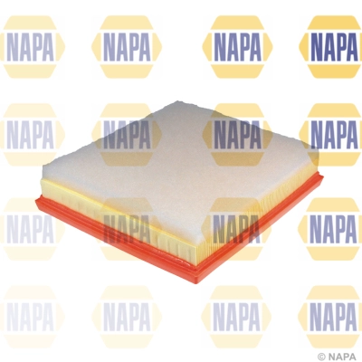 Air Filter (NFA1275)