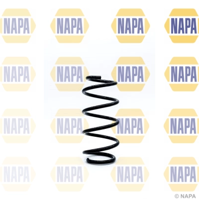 Suspension Spring (NCS1193)
