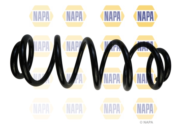 Suspension Spring (NCS1761)