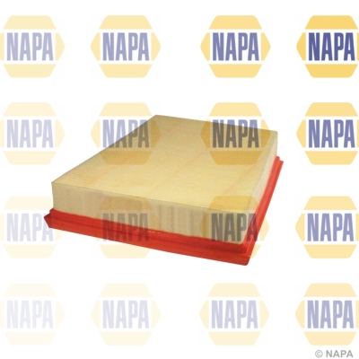 Air Filter (NFA1160)