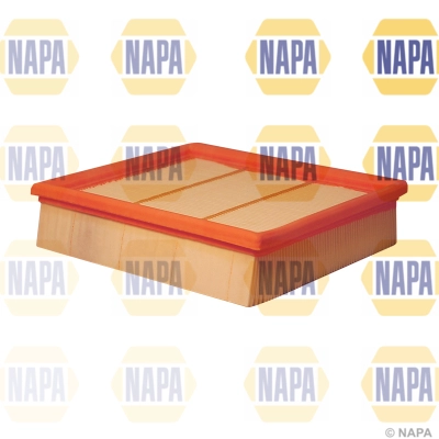 Air Filter (NFA1095)