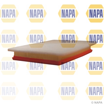 Air Filter (NFA1080)