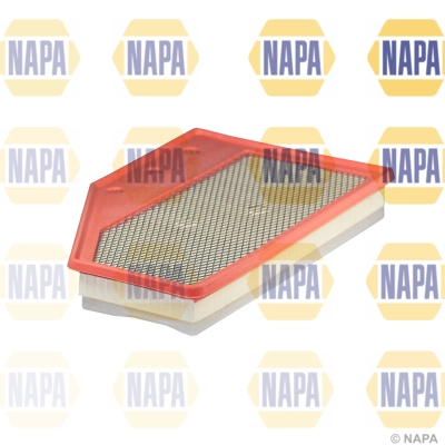 Air Filter (NFA1412)