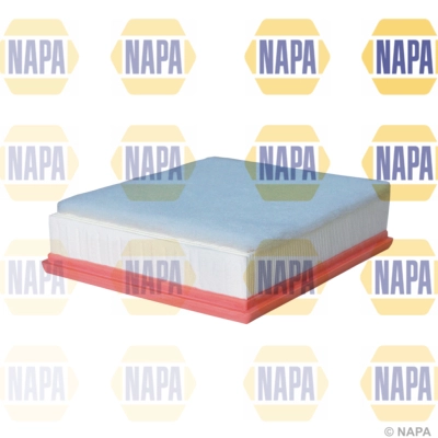 Air Filter (NFA1243)