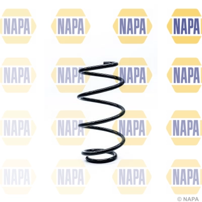 Suspension Spring (NCS1248)