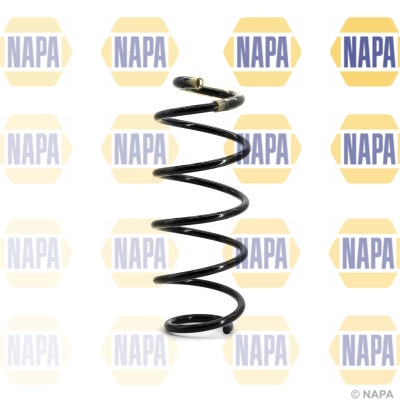 Suspension Spring (NCS1068)