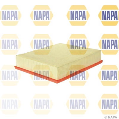 Air Filter (NFA1229)
