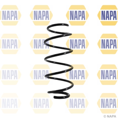 Suspension Spring (NCS1076)