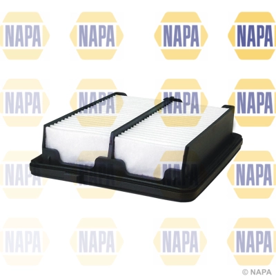 Air Filter (NFA1215)