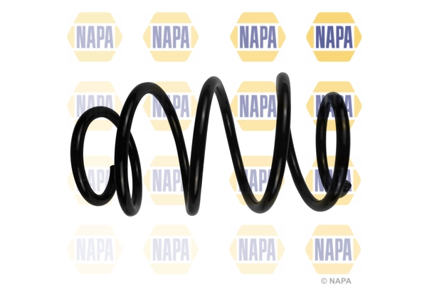 Suspension Spring (NCS1898)