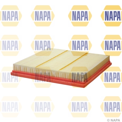 Air Filter (NFA1202)