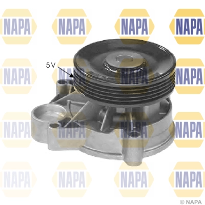 Water Pump, engine cooling (NWP1129)