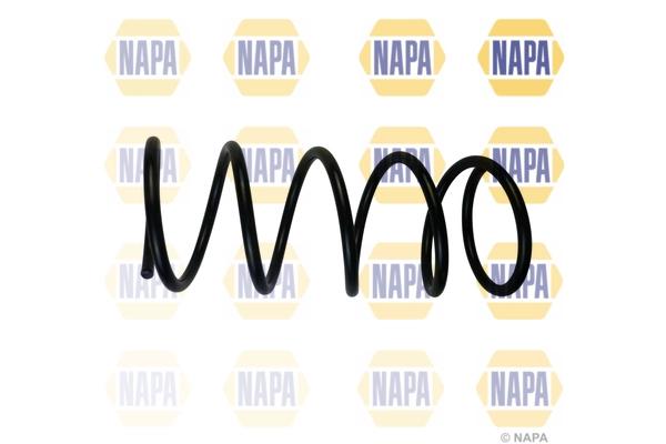 Suspension Spring (NCS1838)