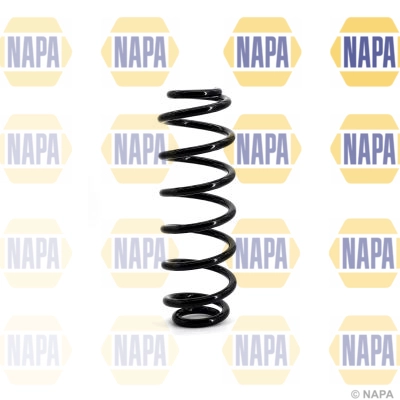 Suspension Spring (NCS1138)