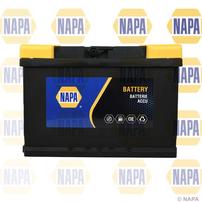 Starter Battery (096N)