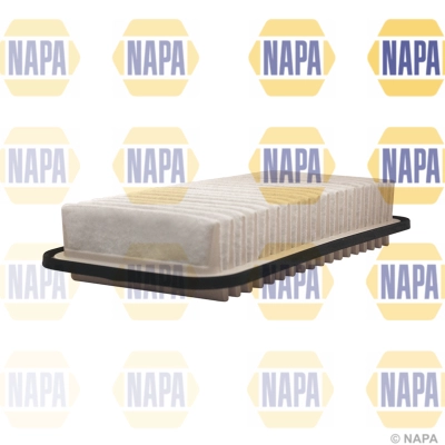 Air Filter (NFA1075)