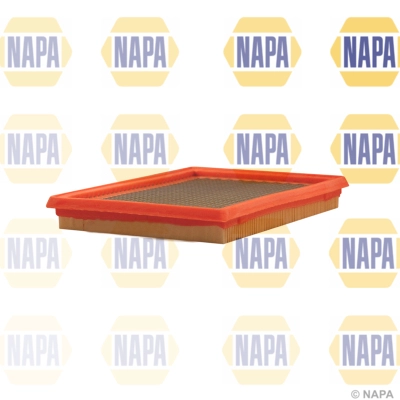 Air Filter (NFA1013)
