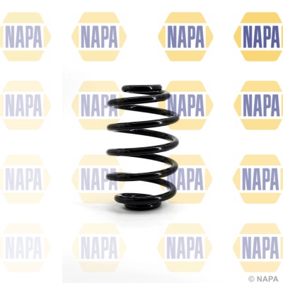Suspension Spring (NCS1149)