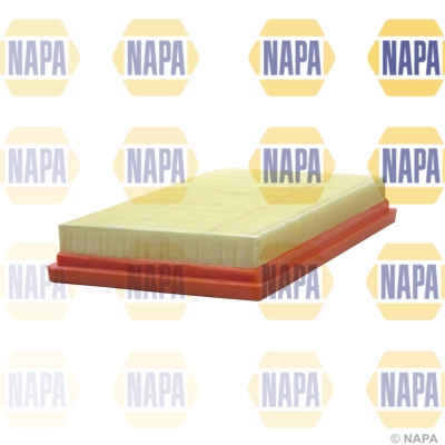 Air Filter (NFA1180)