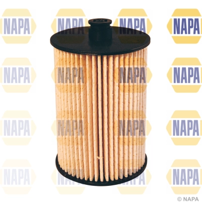 Fuel Filter (NFF2050)