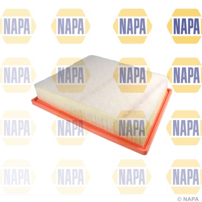 Air Filter (NFA1266)