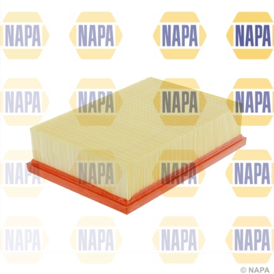 Air Filter (NFA1261)