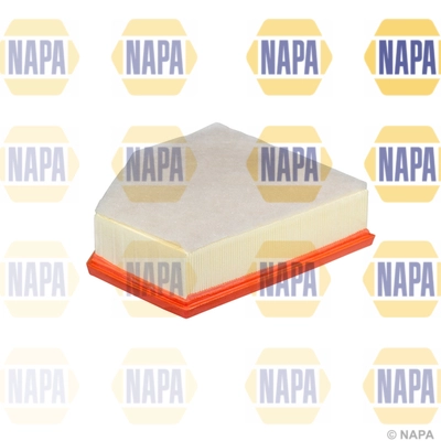 Air Filter (NFA1434)