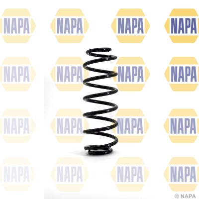 Suspension Spring (NCS1119)
