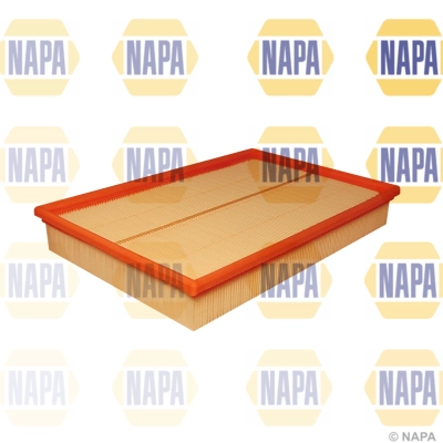 Air Filter (NFA1411)